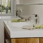 Schaible