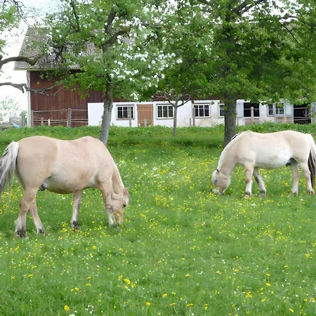 Schaible アパート Seewald